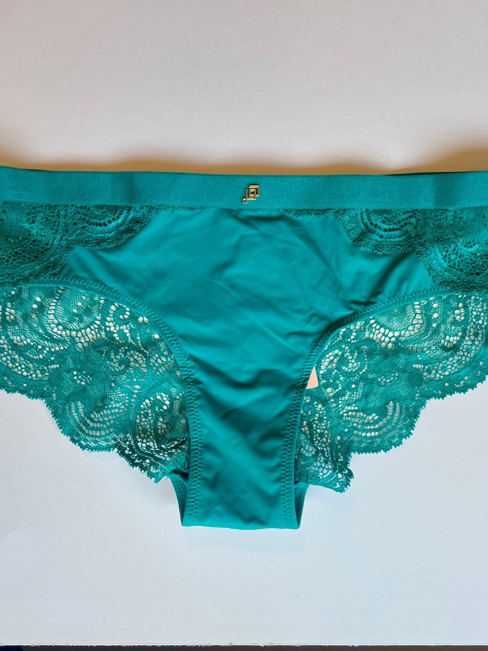 Third Love NWT Teal Lace Bikini small